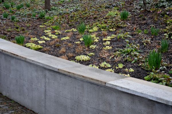 Concrete Wall Construction in Lithonia