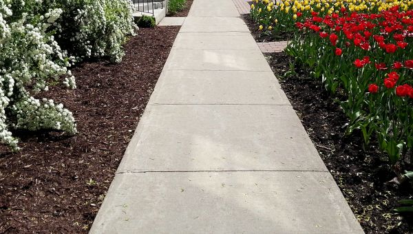 Cement Sidewalk Installation in Lithonia