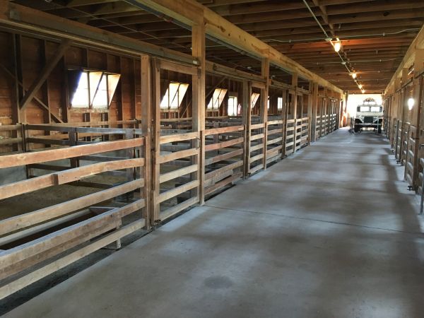 Barn Slab Construction in Lithonia